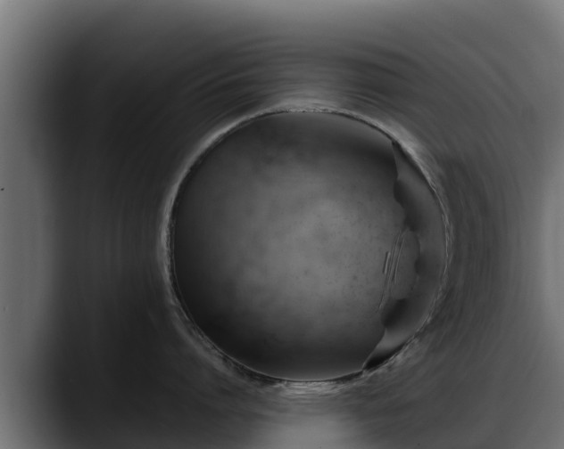 X0000088370864200705291326