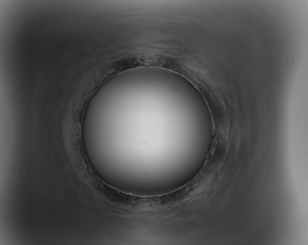X0000088370865200705291325