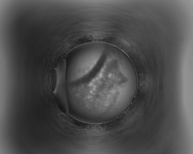 X0000088370866200705291325