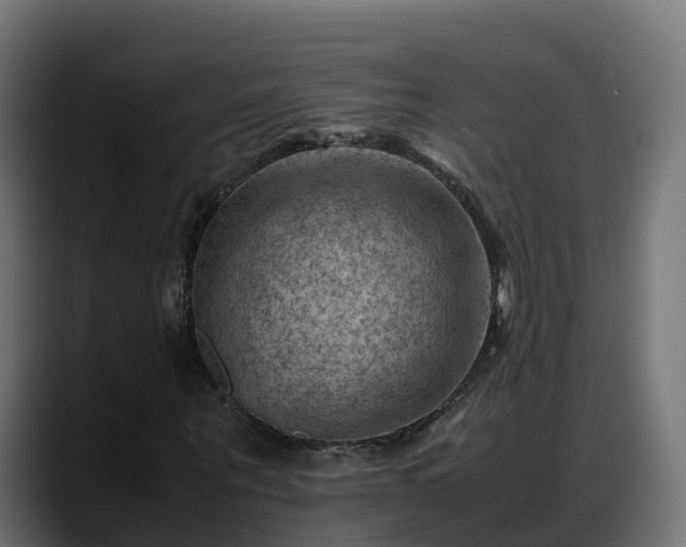 X0000088370867200705291325