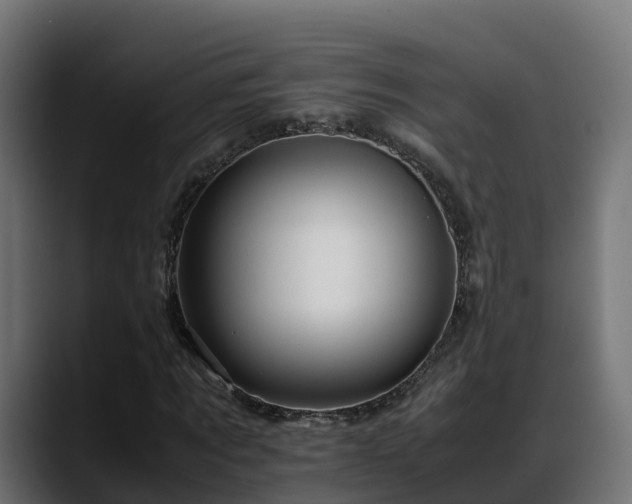 X0000088370869200705291325