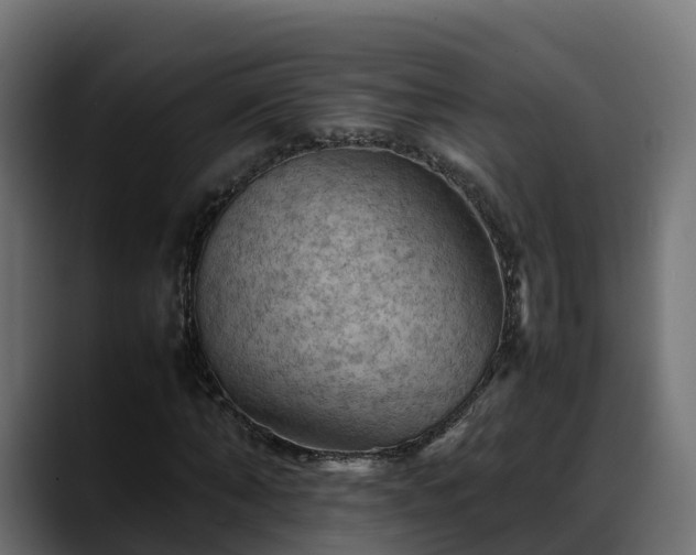 X0000088370870200705291325