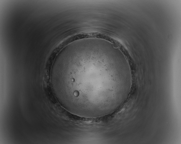 X0000088370871200705291325