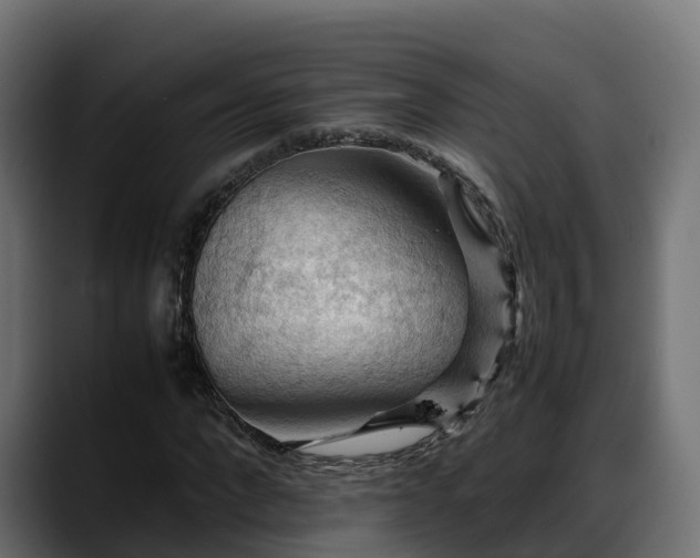 X0000088370872200705291325