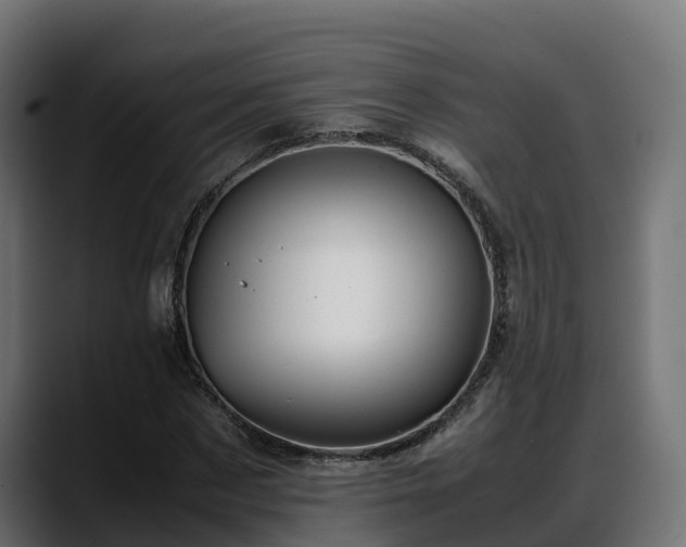 X0000088370873200705291325