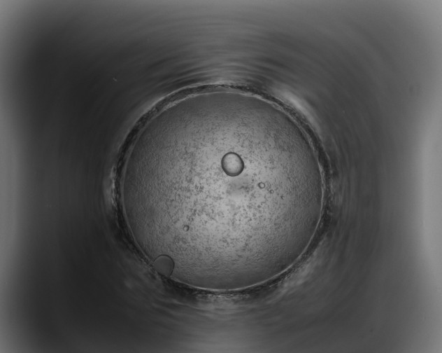 X0000088370875200705291325