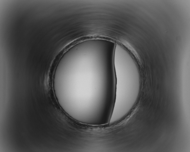 X0000088370876200705291325