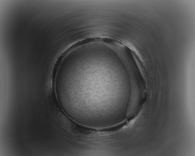 X0000088370877200705291325