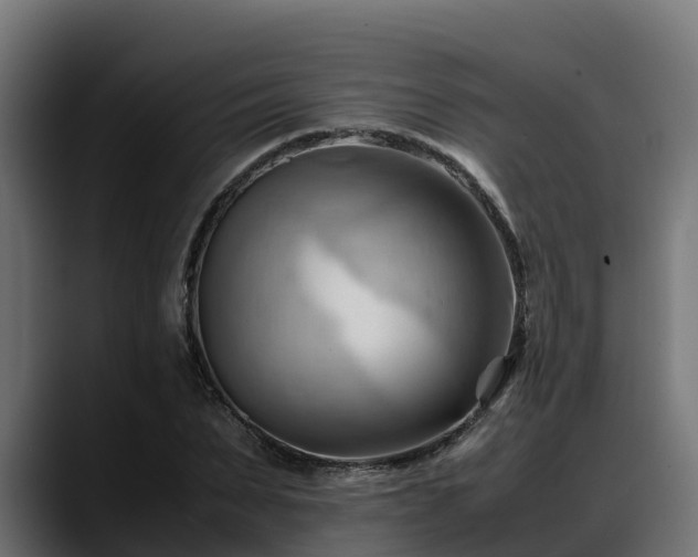 X0000088370879200705291325