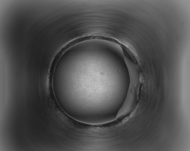 X0000088370880200705291325