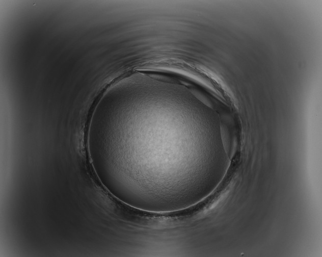 X0000088370881200705291325