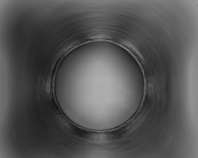 X0000088370882200705291325
