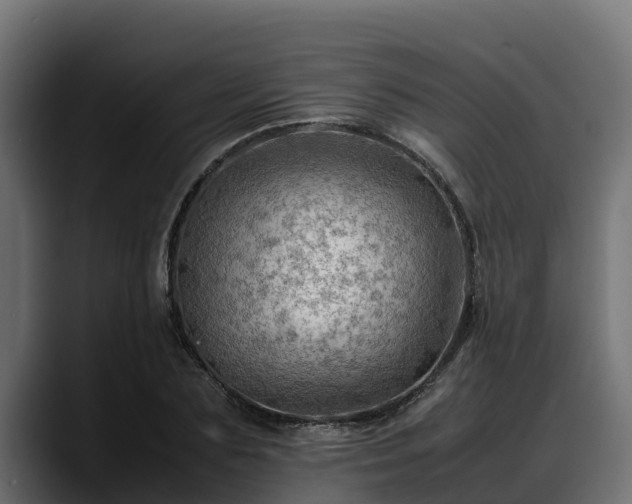 X0000088370883200705291325