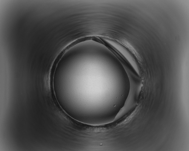 X0000088370884200705291325