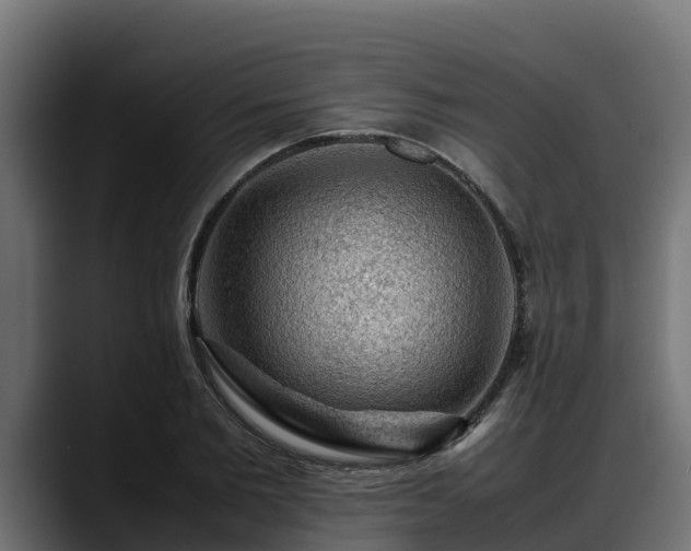 X0000088370885200705291325