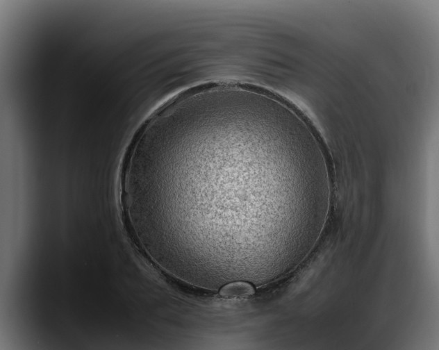 X0000088370887200705291325