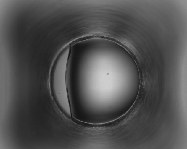 X0000088370888200705291325