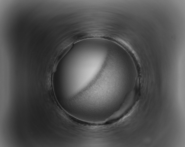 X0000088370889200705291325