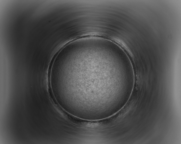 X0000088370890200705291325