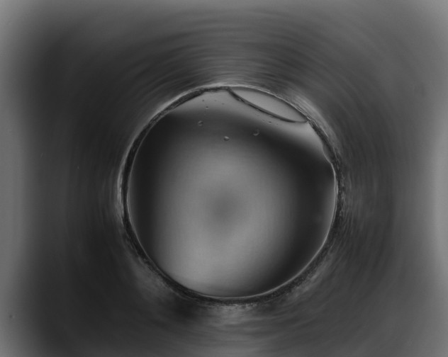X0000088370892200705291325