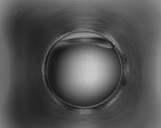 X0000088370893200705291325
