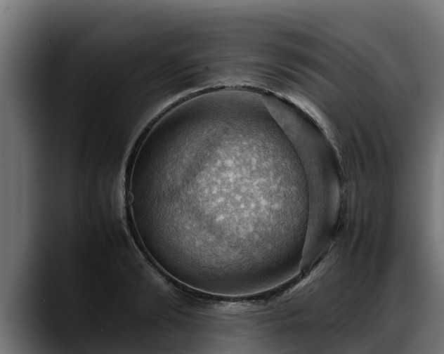 X0000088370894200705291325