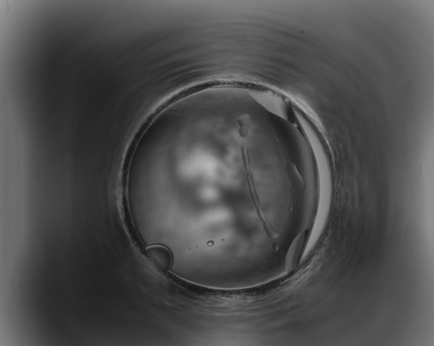 X0000088370895200705291325