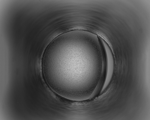 X0000088370898200705291325