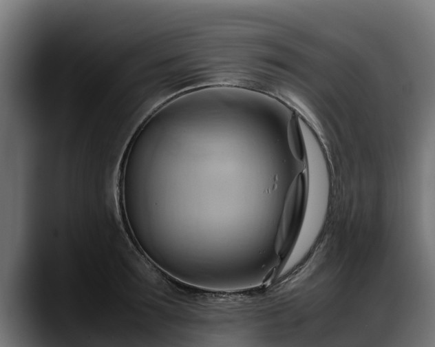 X0000088370899200705291325