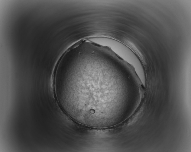X0000088370900200705291325