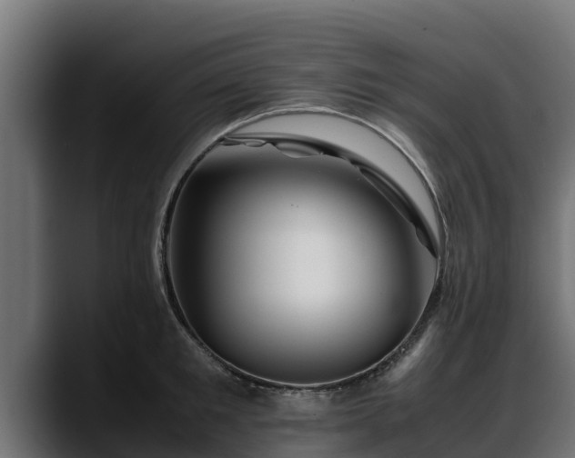X0000088370901200705291325