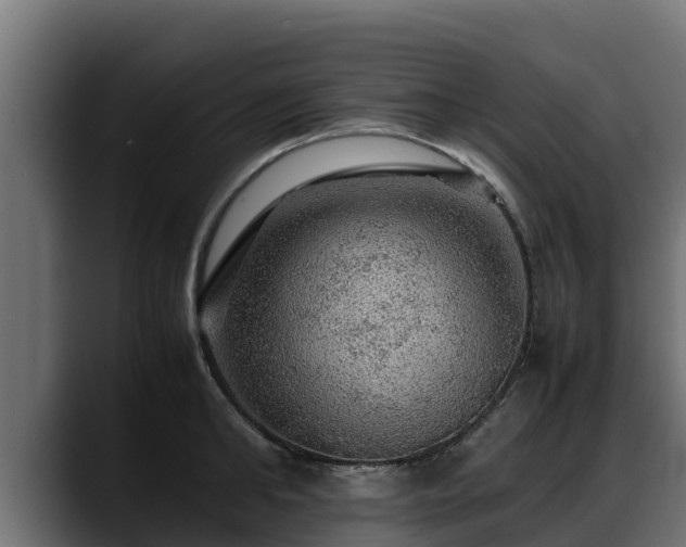 X0000088370902200705291325