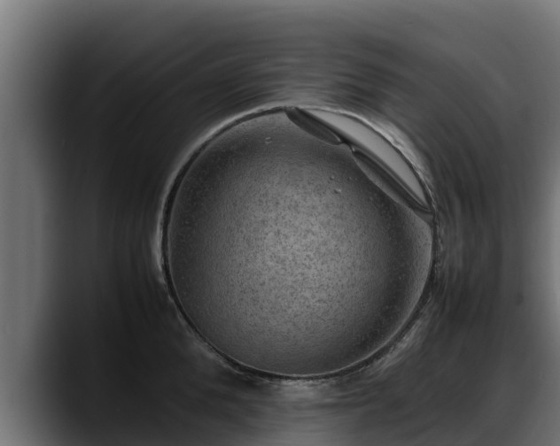 X0000088370904200705291325