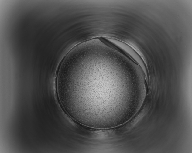 X0000088370906200705291325