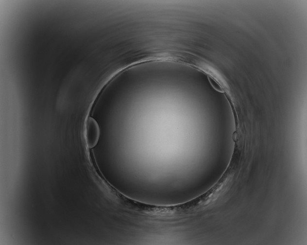 X0000088370907200705291325