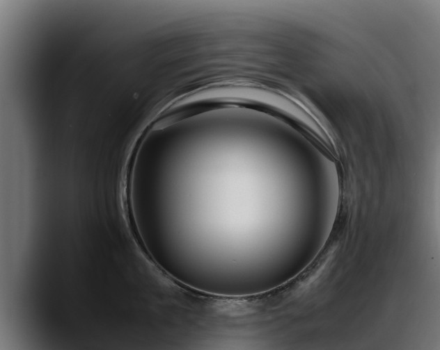 X0000088370909200705291325
