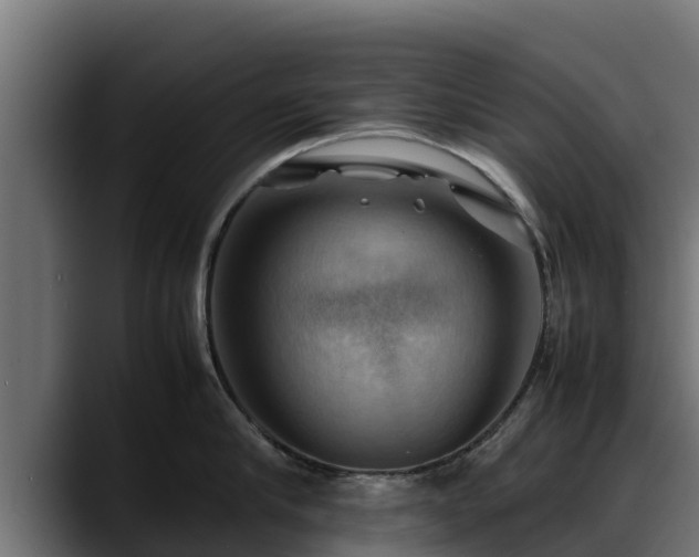 X0000088370910200705291325