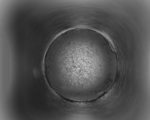 X0000088370911200705291325