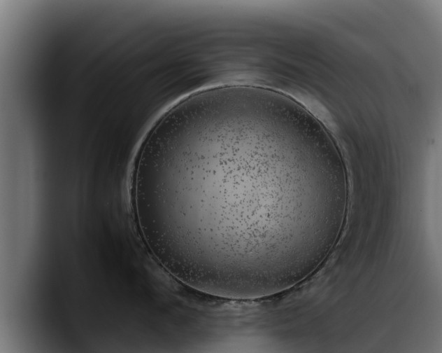 X0000088370912200705291325