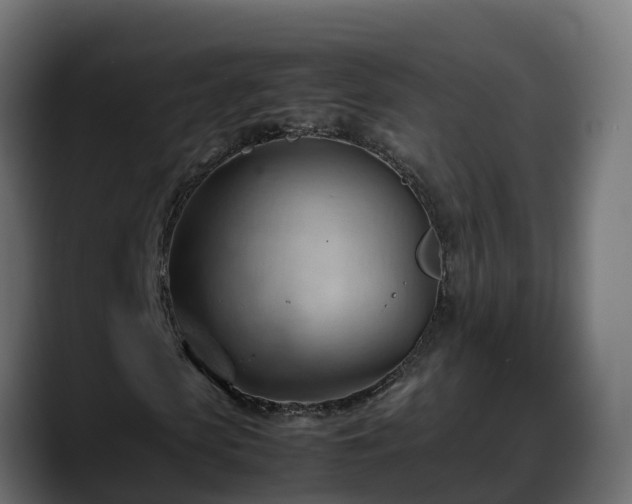 X0000088370913200705291324