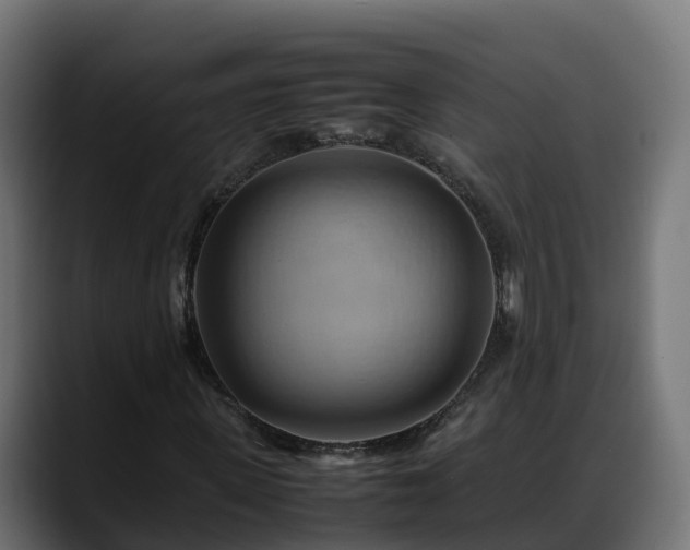 X0000088370915200705291324