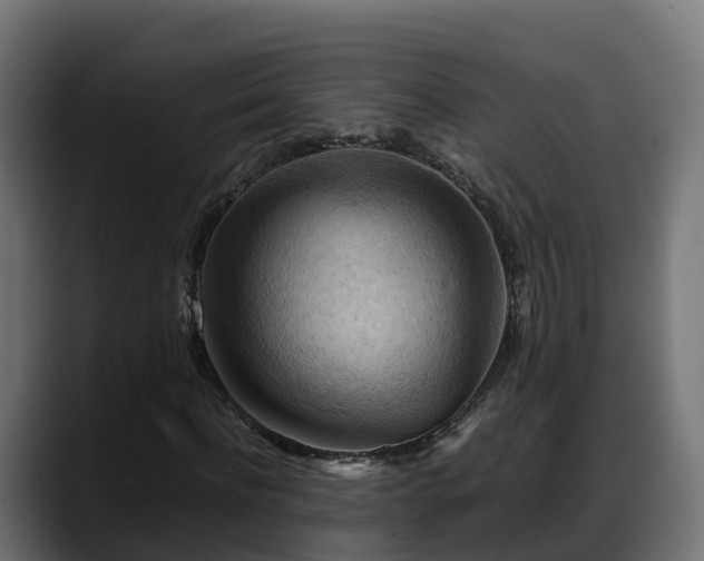 X0000088370916200705291324