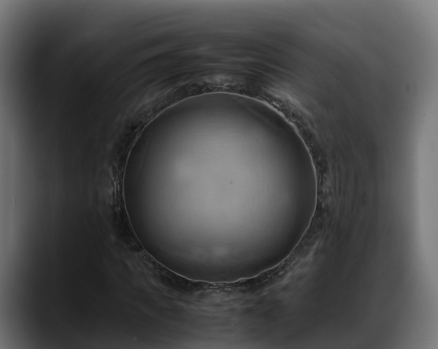 X0000088370917200705291324