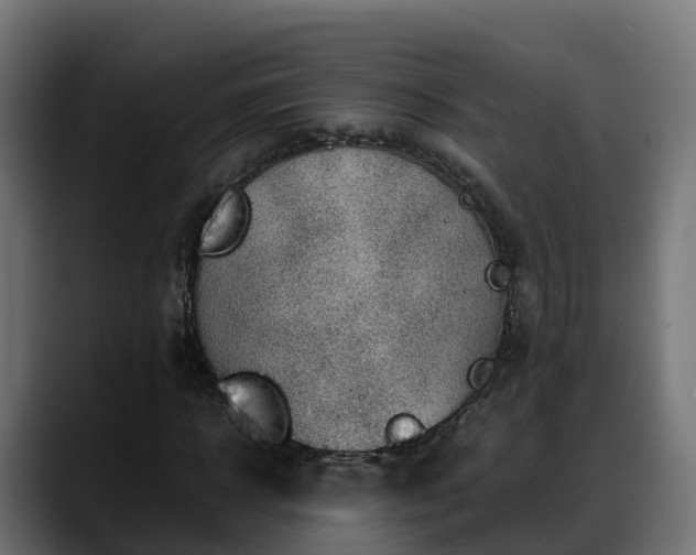 X0000088370918200705291324