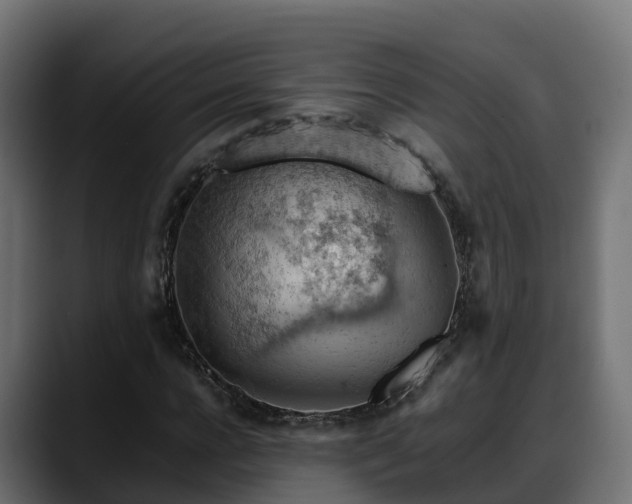 X0000088370920200705291324