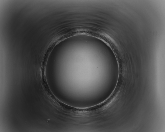 X0000088370921200705291324