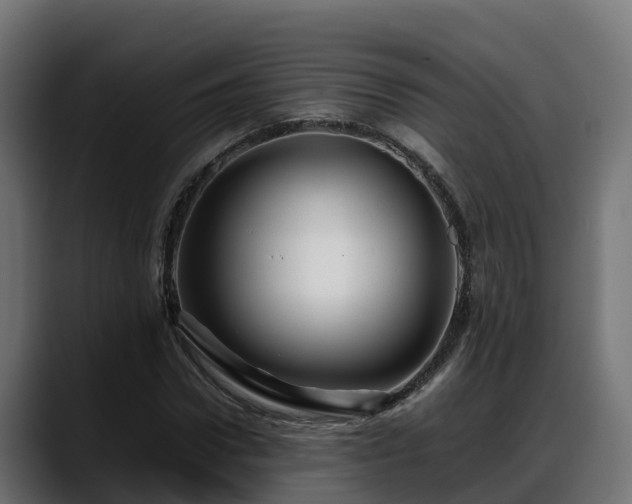 X0000088370922200705291324