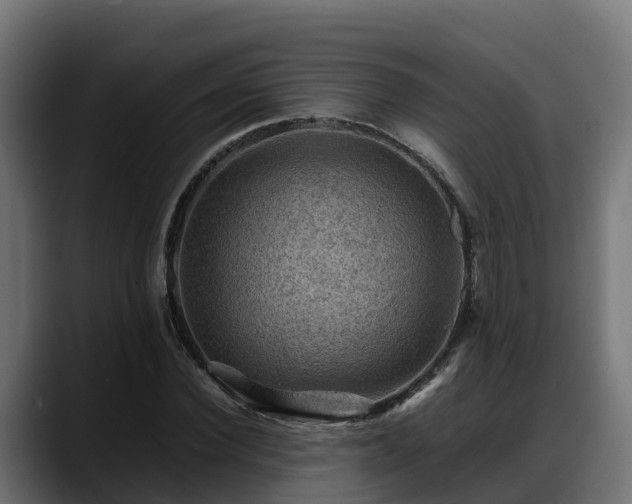 X0000088370924200705291324