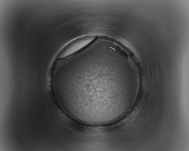 X0000088370926200705291324