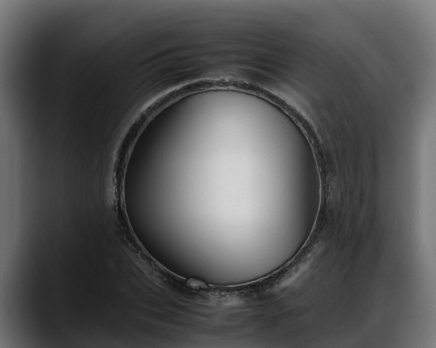 X0000088370927200705291324